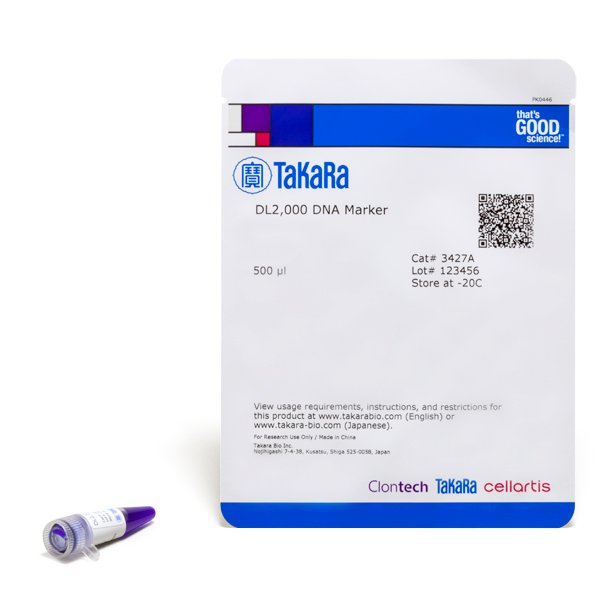 DL2,000 DNA Marker