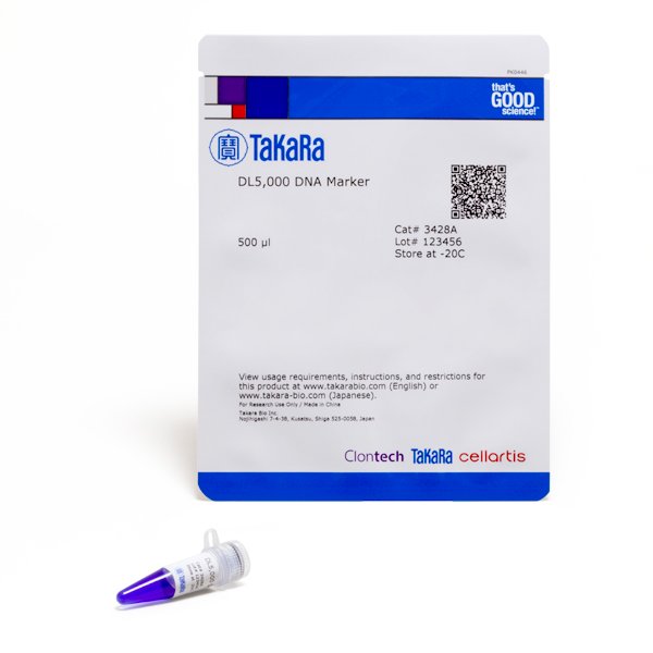 DL 5,000 DNA Marker