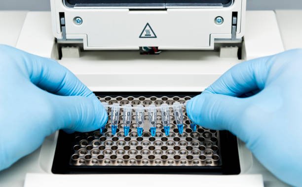 PCR category illustration