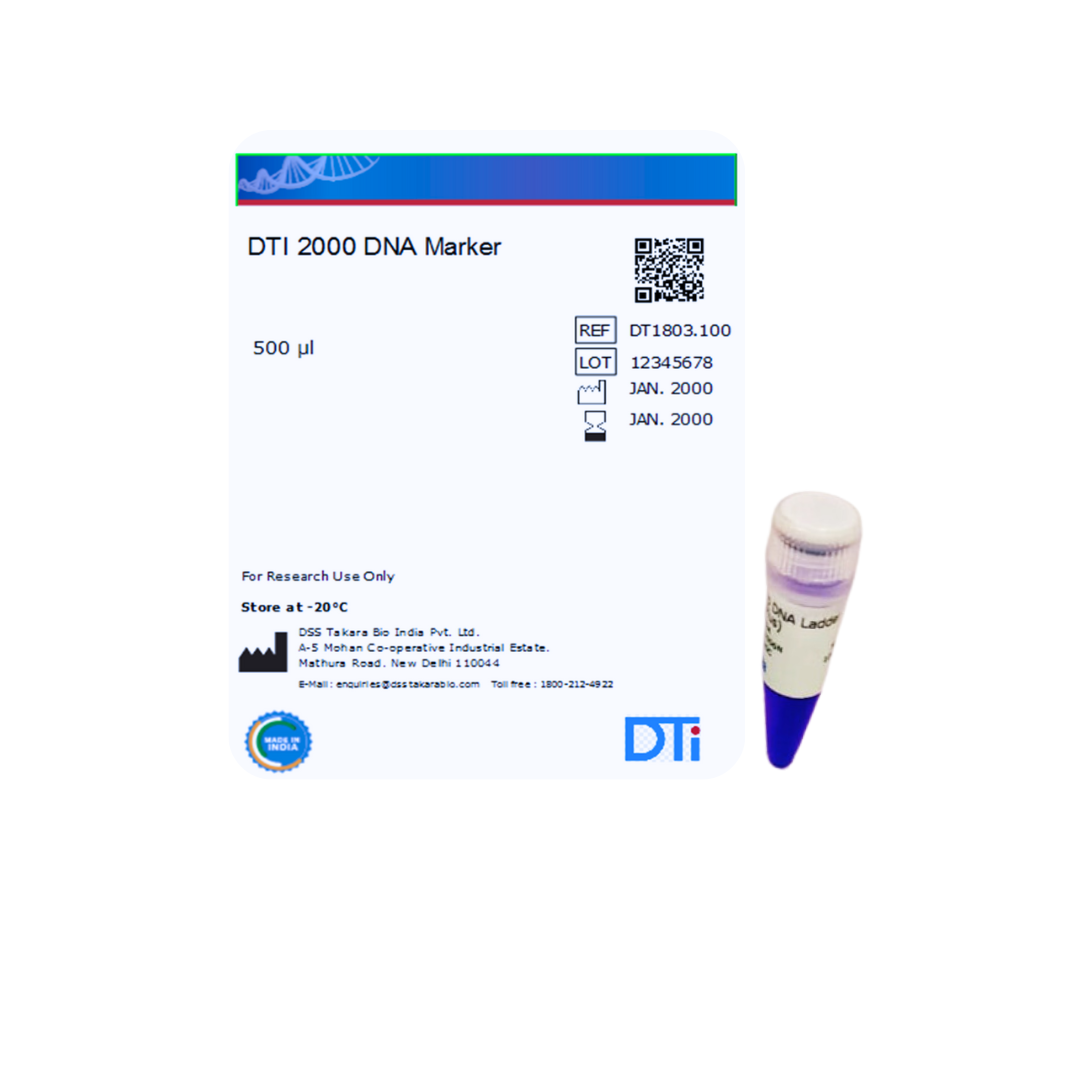 DTI 2000 DNA Ladder (Dye Plus)