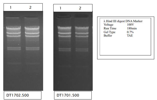 DNA Agarose Premium - Application Data-1