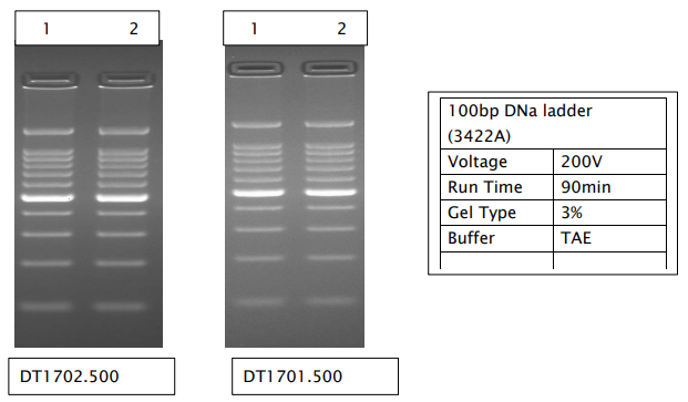 DNA Agarose Premium - Application Data-2