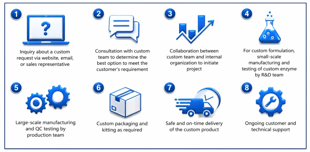 Our Process