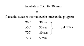 DNA marker run application image placeholder