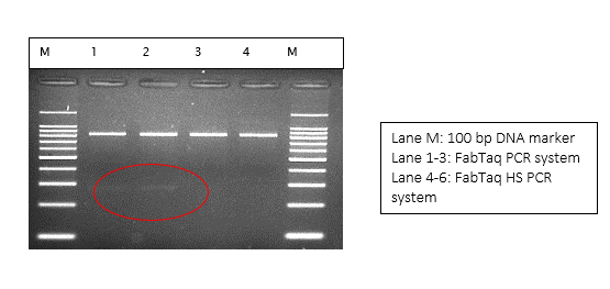DNA marker run application image placeholder