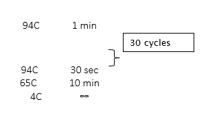 DNA marker run application image placeholder